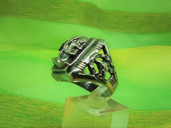 Bague chevalière gothique en acier inoxydable chirurgical 316L, profil indien, style rock, biker, gothique