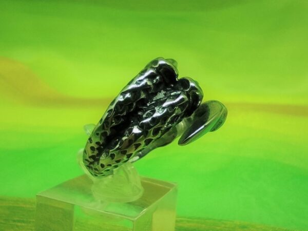 Bague alliance gothique en acier inoxydable chirurgical 316L, griffe de dragon, ajustable, style rock, biker, gothique