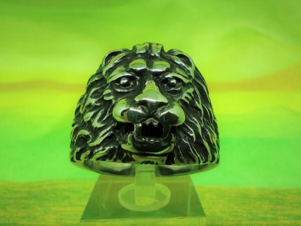 Bague alliance gothique en acier inoxydable chirurgical 316L, tête de lion, style rock, biker, gothique