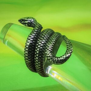 Bague gothique en acier inoxydable chirurgical 316L, serpent enroulé, style rock, biker, gothique