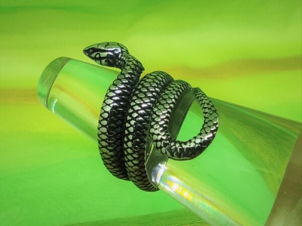 Bague gothique en acier inoxydable chirurgical 316L, serpent enroulé, style rock, biker, gothique