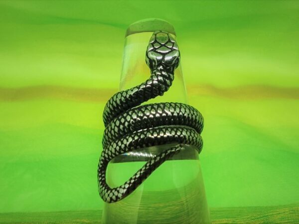 Bague gothique en acier inoxydable chirurgical 316L, serpent enroulé, style rock, biker, gothique