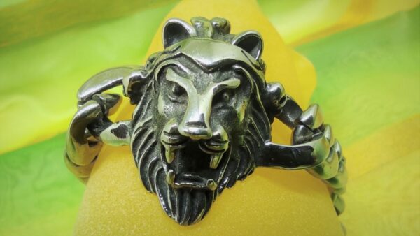 Bracelet gothique acier inoxydable chirurgical 316L, tête de lion, ajustable, style rock, biker, gothique, punk